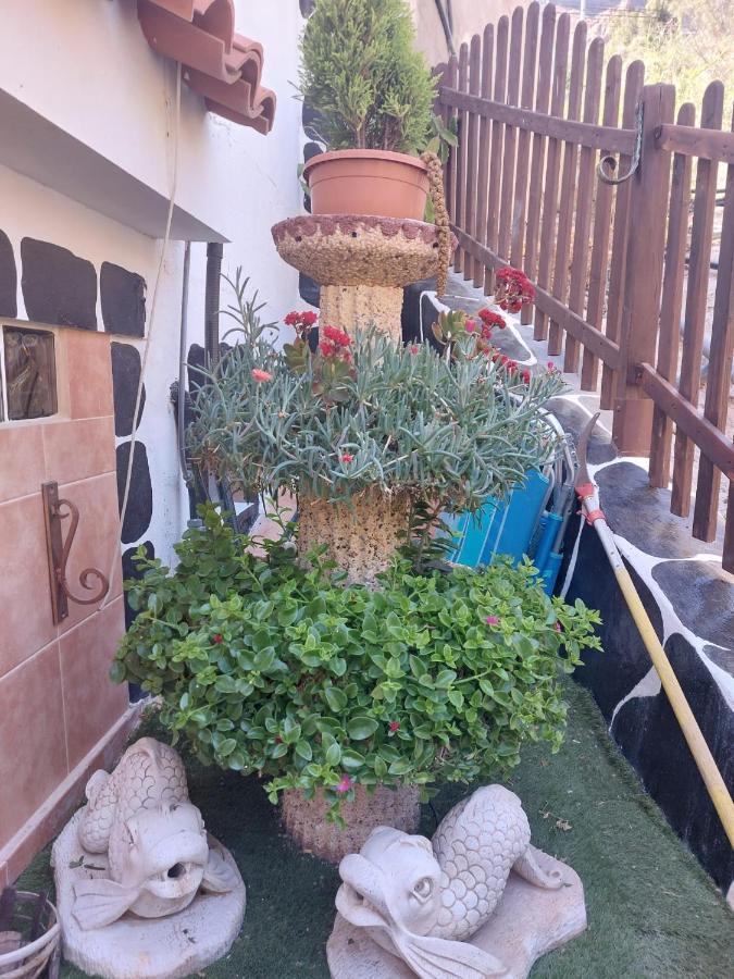 Appartamento El Palmito 2 Mogán Esterno foto